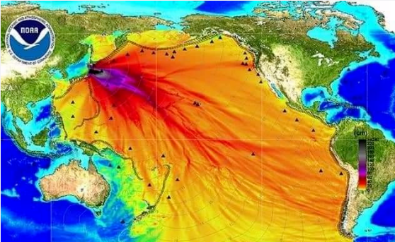 日本核岛污水排放_日本核污水小岛_日本核污水投放点