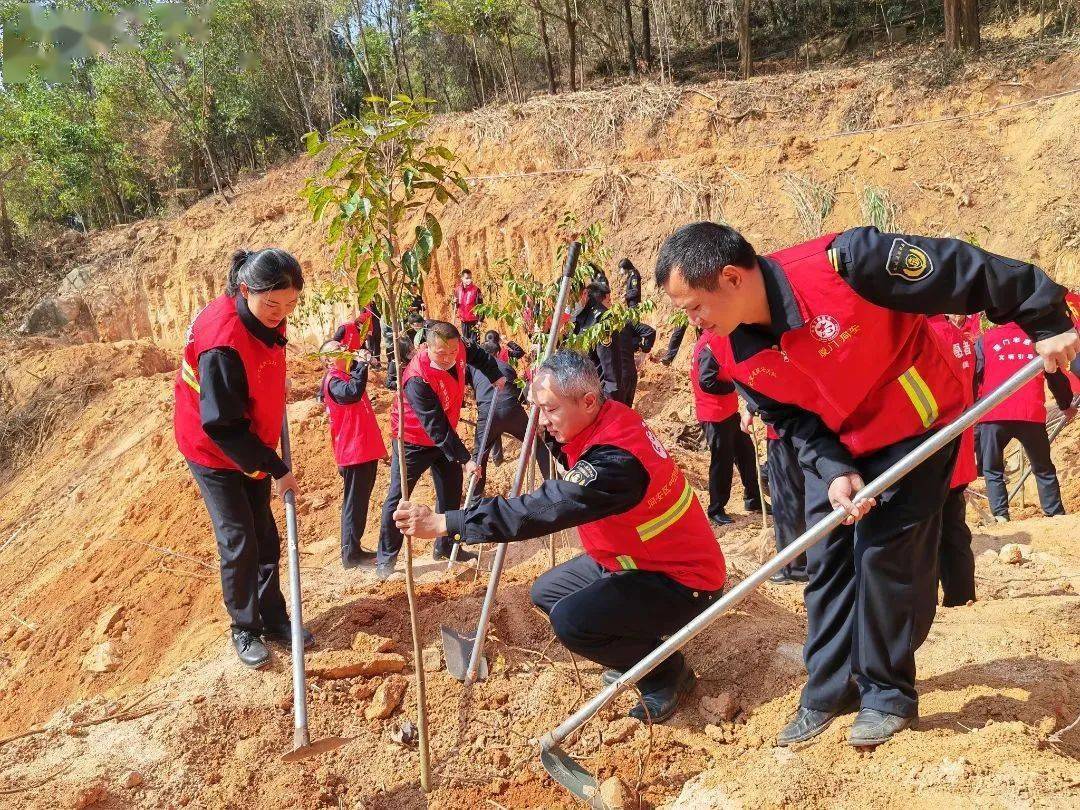 美化环境植树造林手抄报_公司动态植树添绿美化环境_美化环境植树造林的图画