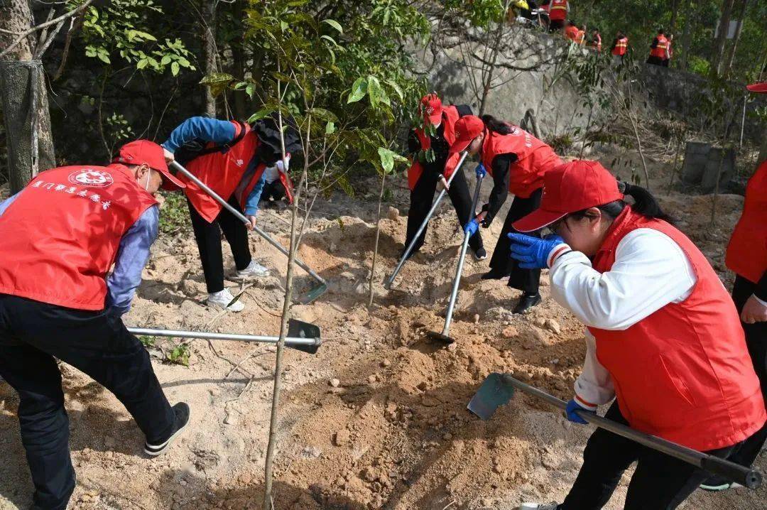 公司动态植树添绿美化环境_美化环境植树造林的图画_美化环境植树造林手抄报