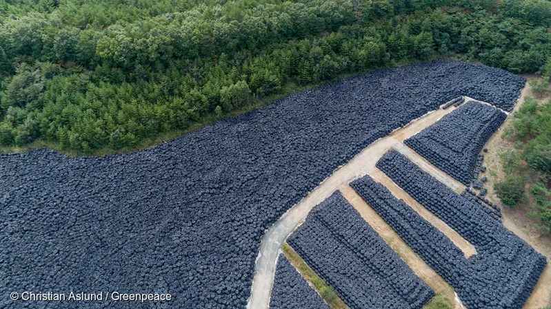 核污水是啥_核污水和核废水区别_核污水与核弹区别