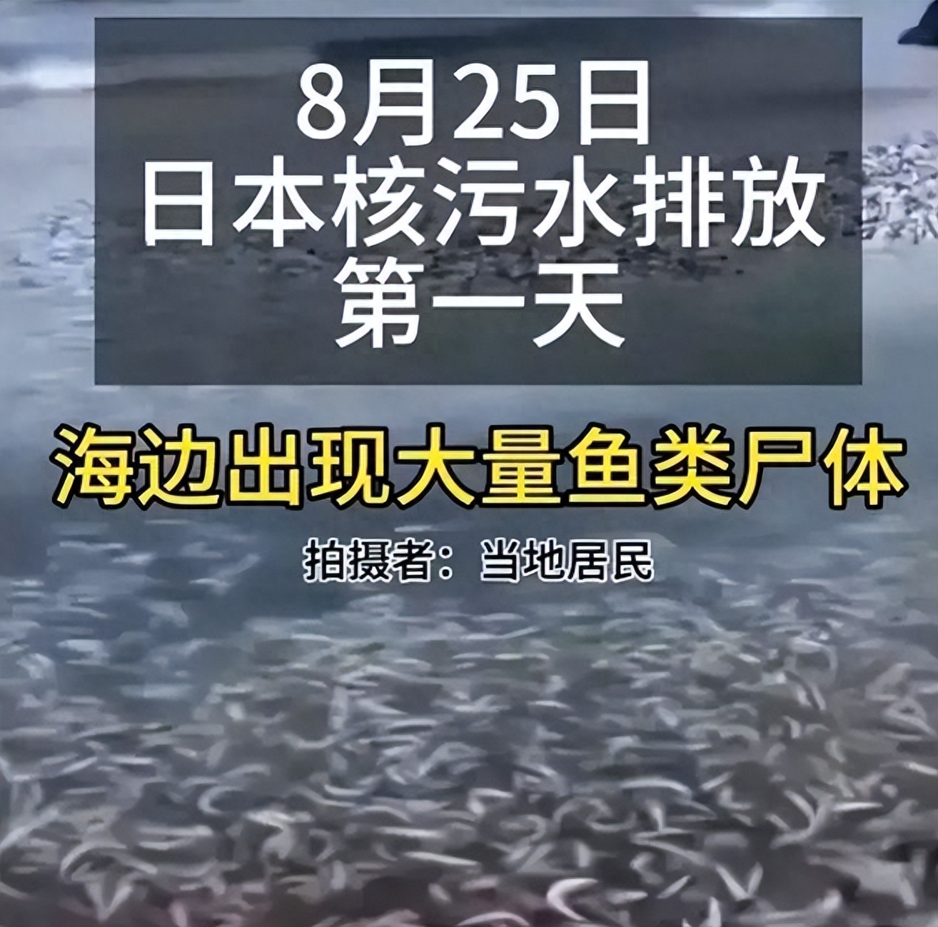 核污水排放20到30年_核污水排放有什么危害_排放核污水历史