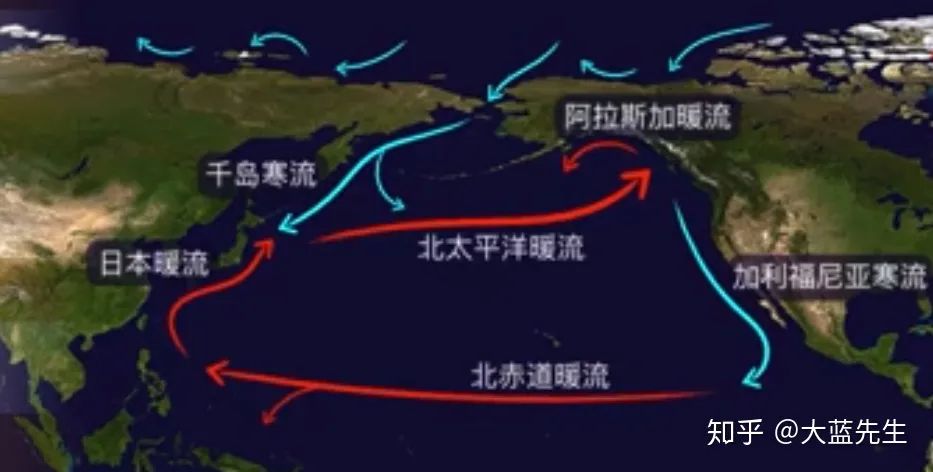 日本核污水总结_日本人核污水现状_日本污水危害