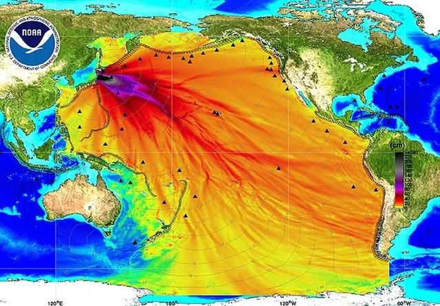 日本排放核污水高层人员_2022年日本核污水排放_日本排放核污水总结