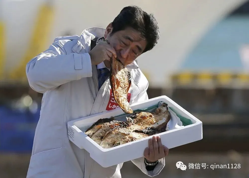 核污水变异的野猪_核污水变异人_核污水造成变异的鱼