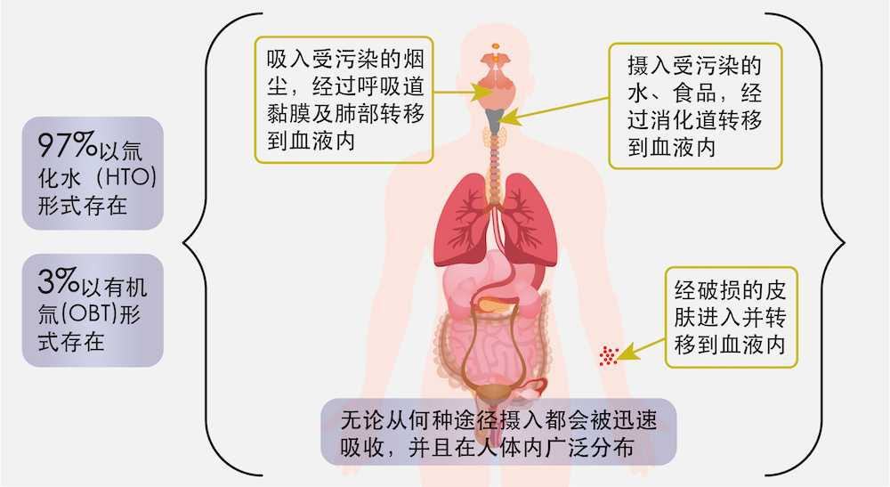 核污水大量生物逃跑_核污水大量生物逃跑_核污水大量生物逃跑