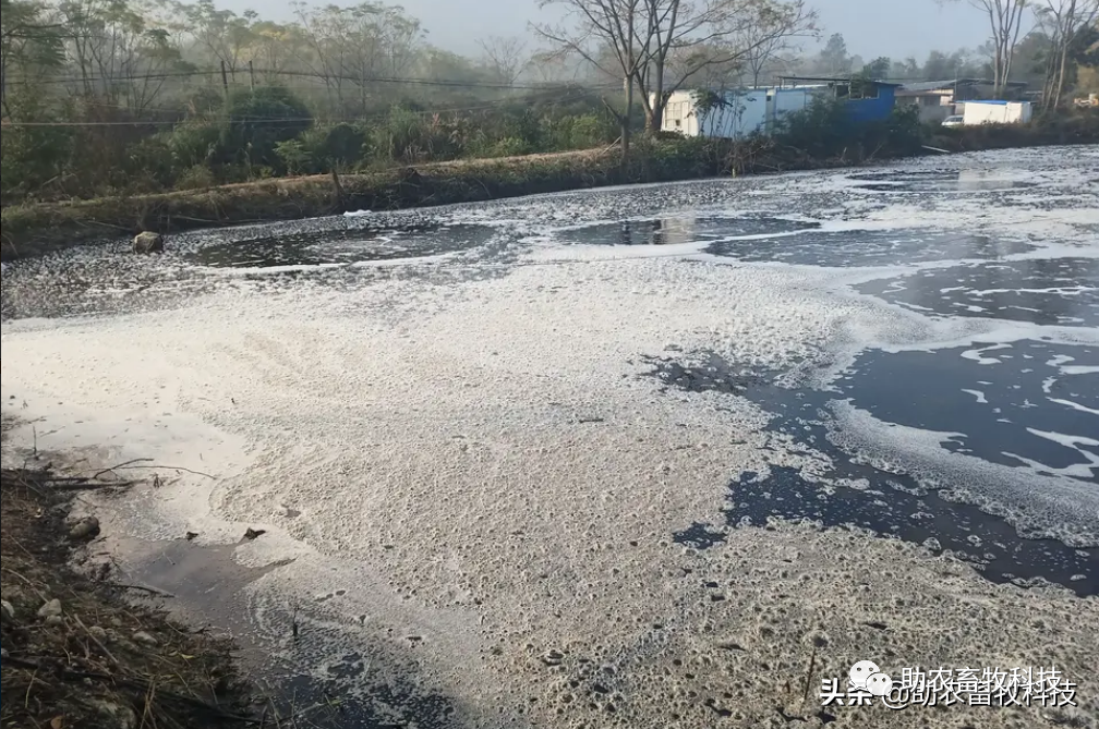 仙游养殖污水处理技术_污水养殖仙游处理技术规程_养殖污水处理工艺流程