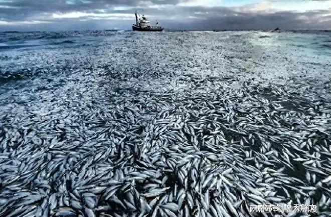 日本排放核污水最_日本可以排核污水_日本核废水排水