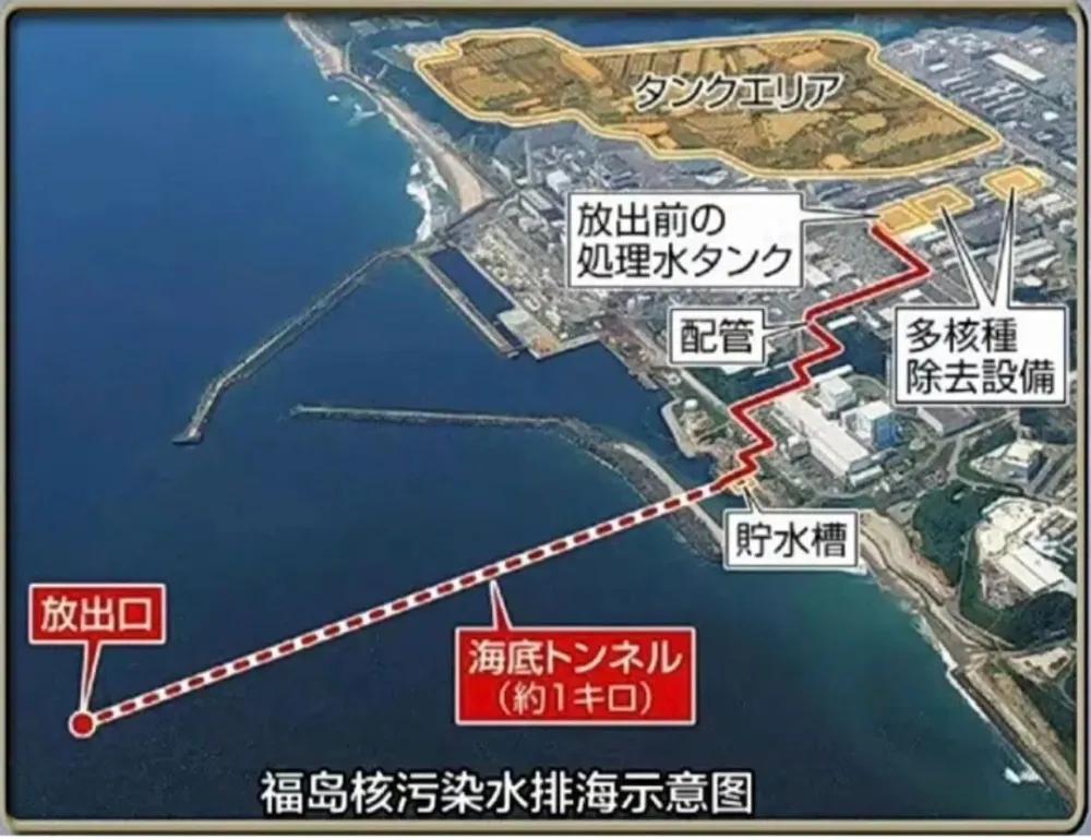 海鲜污水处理_核废水对海鲜市场的影响_海鲜老板看待核污水