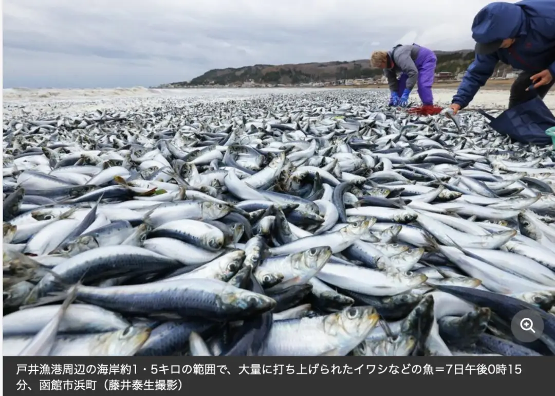 核污水move_日本计划将核污水排入大海_日本排放核污水最新消息