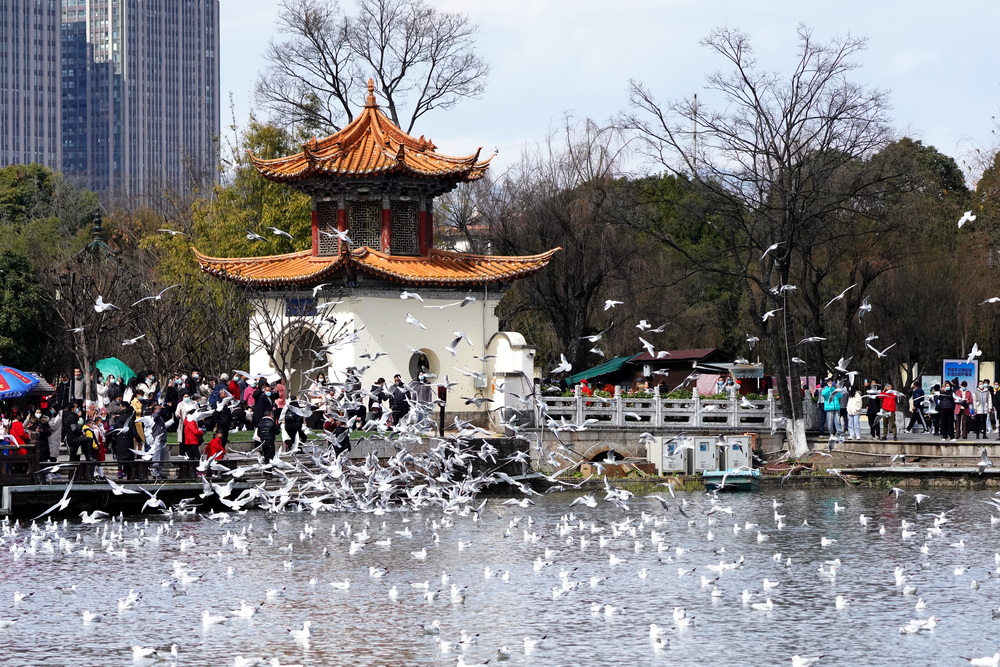 污水去除色度的方法_污水去除率是什么意思_去除污水