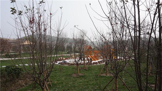 牛场污水处理_牛口峪污水处理厂_养牛场污水处理厂工艺流程