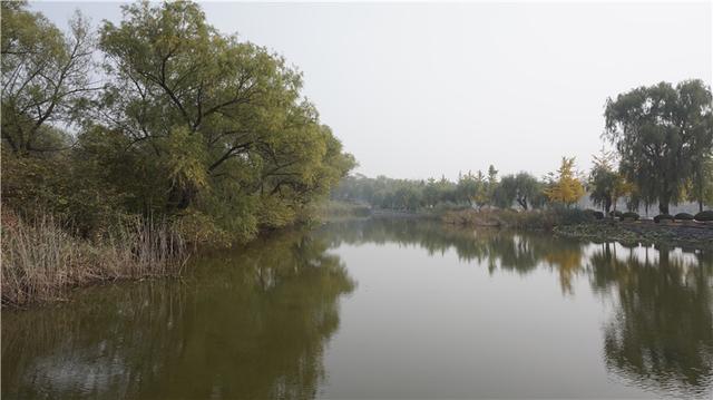 牛场污水处理_牛口峪污水处理厂_养牛场污水处理厂工艺流程