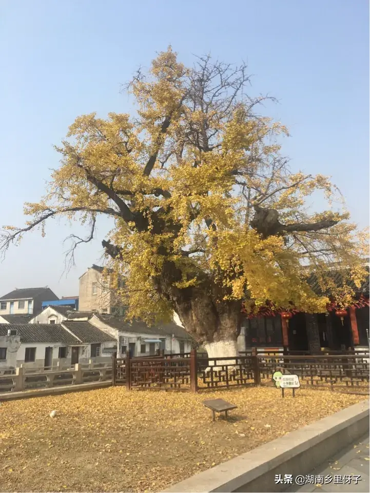 宜兴建邦环境投资_宜兴环境怎么样_宜兴环境好的餐厅