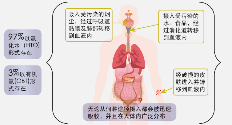 日本核泄漏废水储蓄罐_日本核污水如何泄露_日本核泄漏事故废水