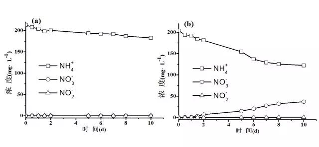 氨对污水处理_氨水污水处理_污水处理氨氮怎么处理