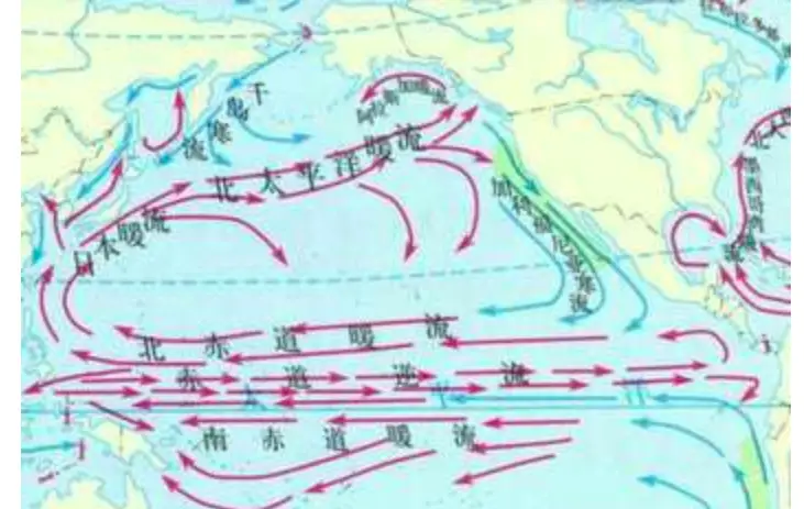 核污水已经排入大海了吗_核污水要几年排入中国_核污水到底排没排