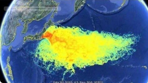 日本排放核污水随笔_日本排放核污水作文题目_日本排放核污水的100字小练笔