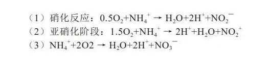 污水处理厂氨氮处理工艺_氨对污水处理_污水处理氨氮怎么处理