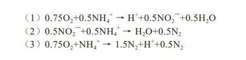 污水处理厂氨氮处理工艺_污水处理氨氮怎么处理_氨对污水处理