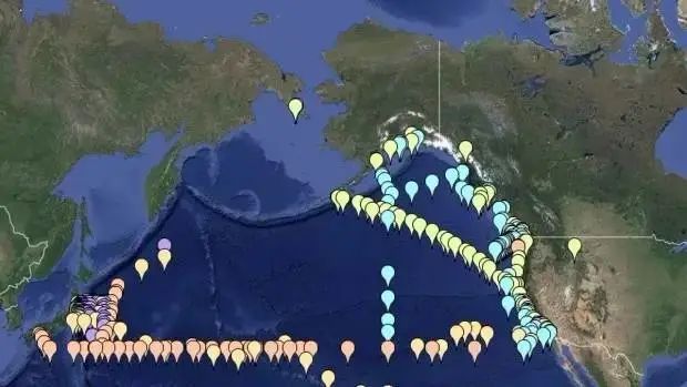 日本排放核污水变异海洋生物_日本核污水入海变异生物_日本排放核污水海螺变异