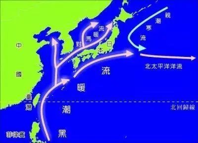 日本排放核污水变异海洋生物_日本核污水入海变异生物_日本排放核污水海螺变异