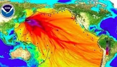 日本排放核污水变异海洋生物_日本排放核污水海螺变异_日本核污水入海变异生物