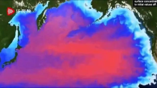 日本排放核污水变异海洋生物_日本排放核污水海螺变异_日本核污水入海变异生物