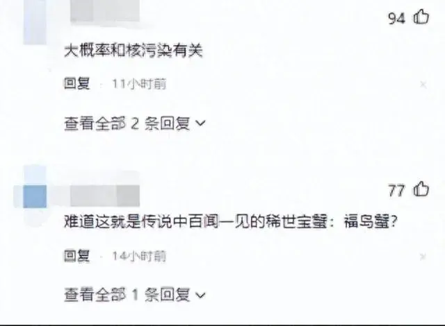 核污染螃蟹_核污水巨型螃蟹_污水里的螃蟹可以吃吗