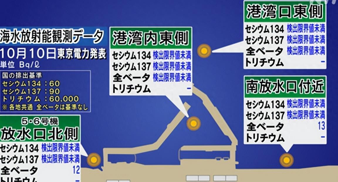 核污水巨型螃蟹_巨型淡水螃蟹_核污染螃蟹