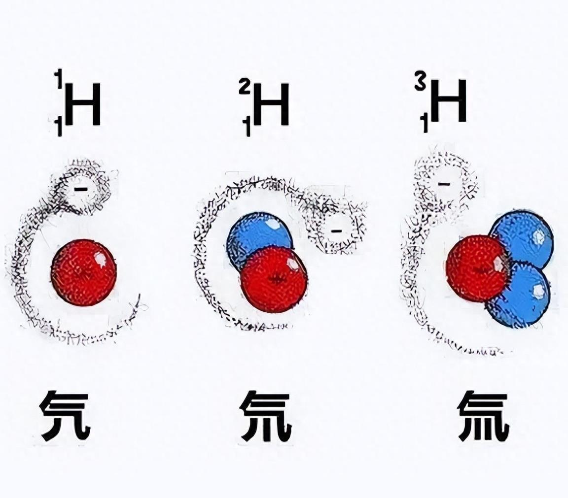 核污染螃蟹_巨型淡水螃蟹_核污水巨型螃蟹