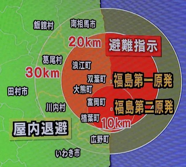 日本排放核污水海螺变异_日本排放核污水鱼变异_日本排放核污水变异海洋生物