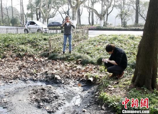 污水直排西湖续：系污水系统问题非朝夕能解决