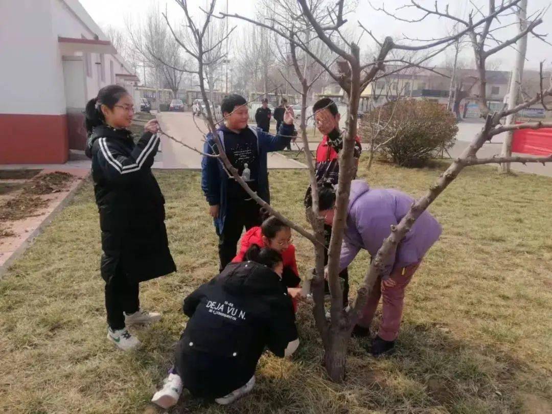 植绿护绿美化环境_绿化美化环境绘画_公司动态养绿护绿美化环境