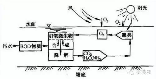 污水处理工艺流程动画_污水处理厂工艺动画_污水处理动态效果图