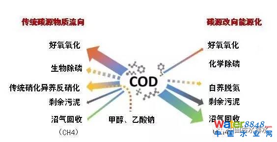 污水碳源_污水补碳源_污水补充碳源用什么