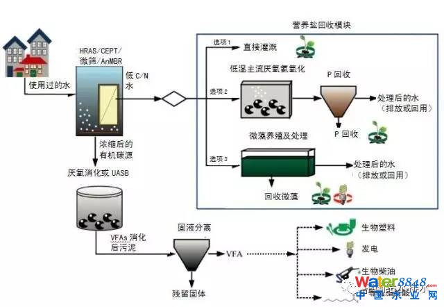 污水碳源_污水补充碳源用什么_污水补碳源