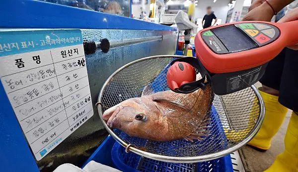 核废水入海被稀释_海水稀释核辐射_核废料海水稀释