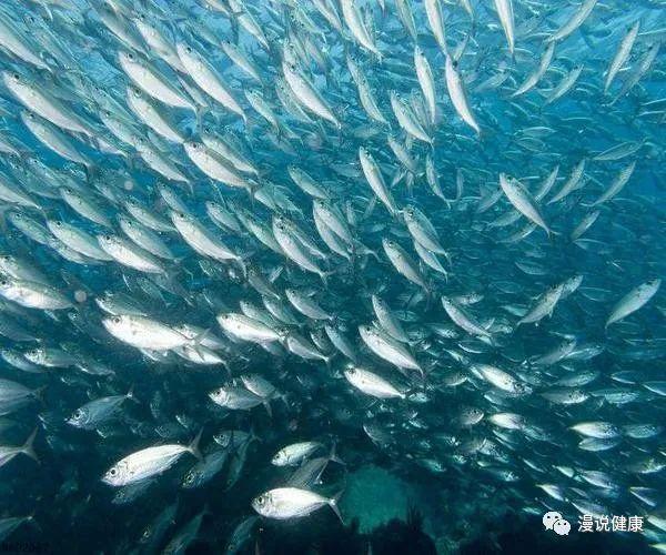 西藏会来核污水吗_核污水到哪了_核污水已经排入大海了吗