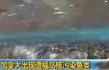 核废料大海_核废料对大海的影响_核废料对海洋生物的影响