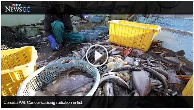 核废料大海_核废料对大海的影响_核废料对海洋生物的影响