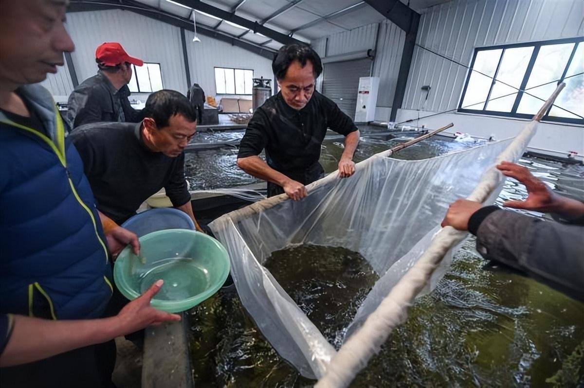 核污水会不会发光_核污水烧开_核污水会不会蒸发