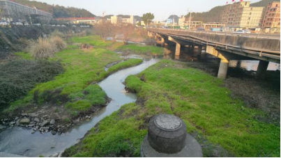 河道污水处理方法_印染 污水 河道_污水印染河道施工方案