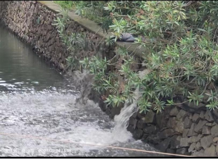 河道污水处理方法_印染 污水 河道_污水印染河道施工方案