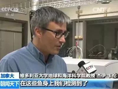 核污染废料持续年限是多久_核废料的污染_核废料污染持续多少年