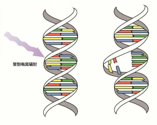 核污水英语表达_核污水英语_核污水排放英语