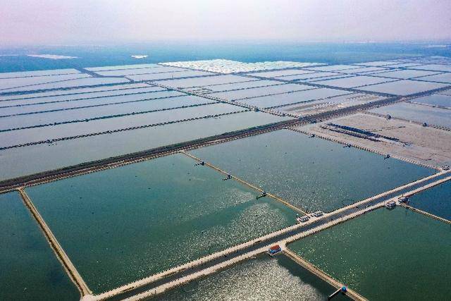 沿海城市核污染_核污水沿海居民_沿海污水处理