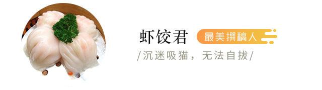 公司里的动态壁纸是什么_动态壁纸什么原理_壁纸动态桌面