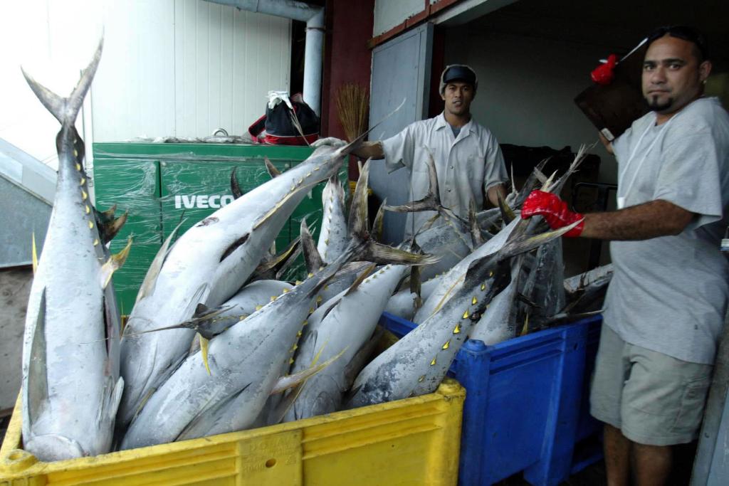 把核废料排进海水_核废水排到海里_海里排放核废料