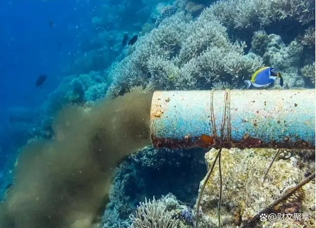 污水处理报道_美媒报道核污水_核污水文章