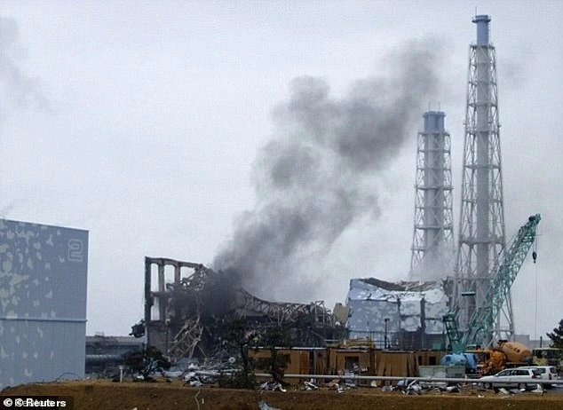 白鹿对日本排放核污水有什么建议_日本排放核污水后怎么办_核污染水日本排放